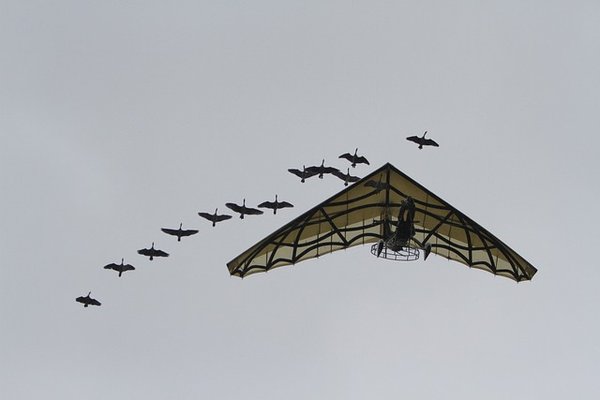 Réserver dans un camping à proximité du Puy du Fou