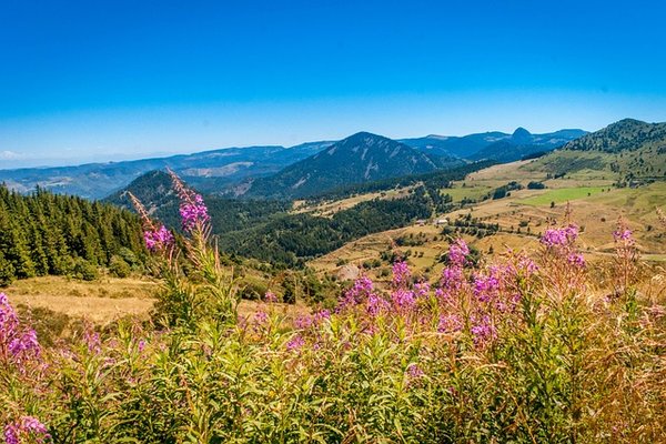 Votre guide ultime du camping en Haute-Loire
