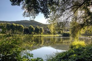 Un camping en Haute-Loire, Auvergne, idéal pour les amoureux de la nature et les passionnés de randonnée.